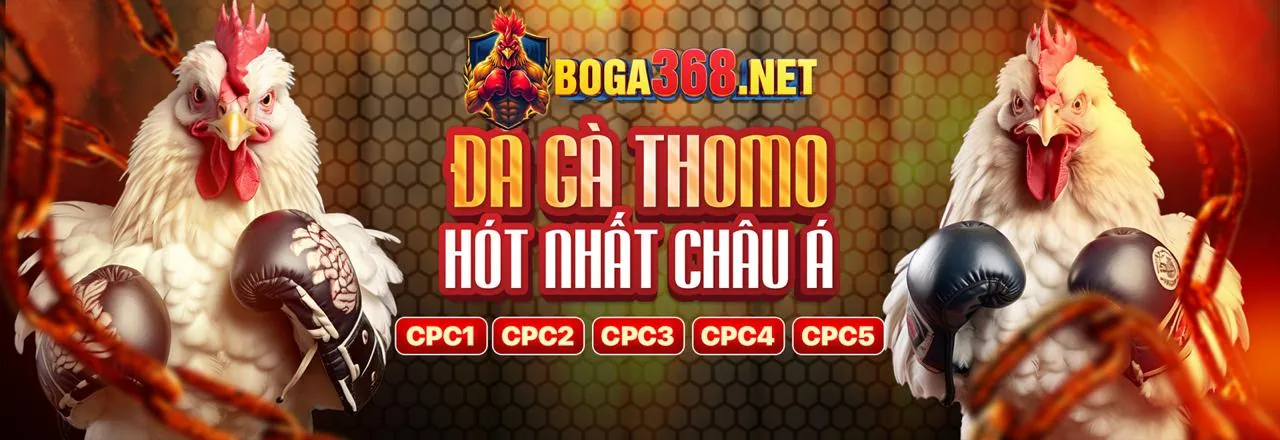 Đá gà trực tuyến kịch tính tại king79 casino