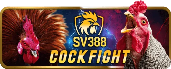 Phương thức rút tiền qua ví điện tử king79 casino