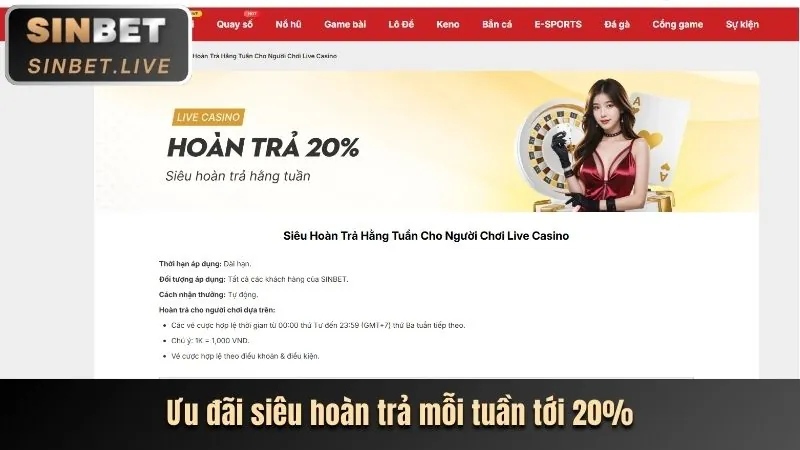 Hình ảnh đa dạng các môn thể thao có tại king79 casino